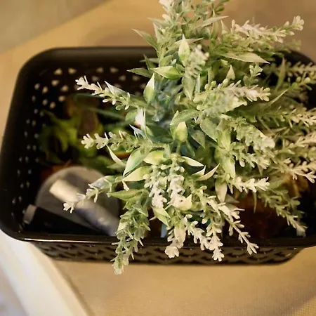 Lejlighed Blue Dreams Astros