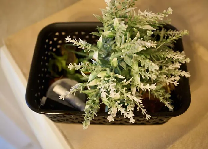 Apartamento Blue Dreams Astros